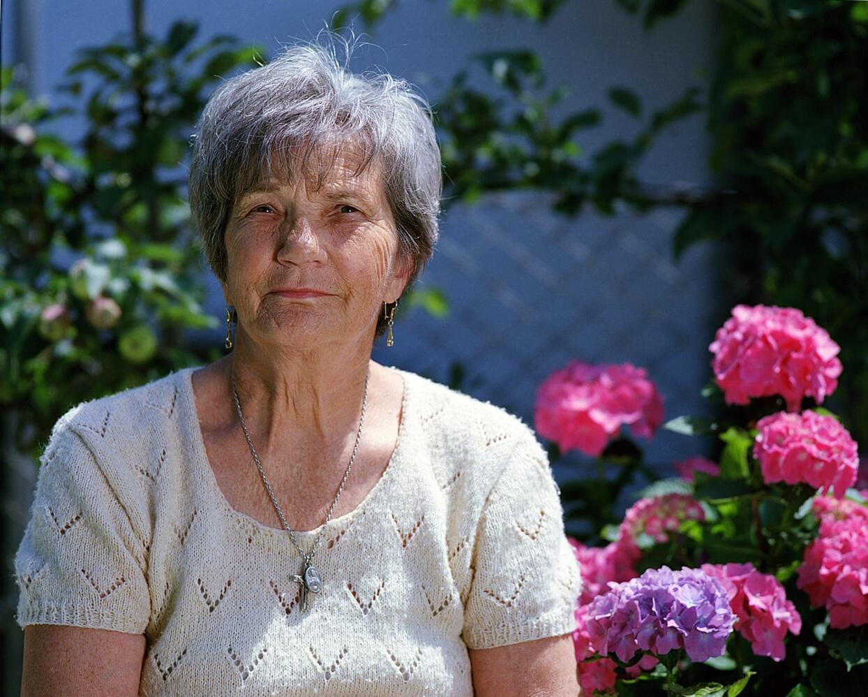 aranyér